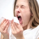 Confronto degli effetti della tossina botulinica A e della cetirizina, nel trattamento della rinite allergica