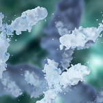 Il ruolo degli auto-anticorpi IgE nel pemfigoide bolloso