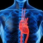 Quantificare i fattori di rischio cardiovascolare nei pazienti affetti da psoriasi: una meta-analisi