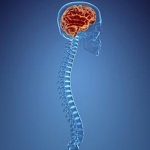 Criteri per la diagnosi di neurosifilide dal liquido cerebrospinale