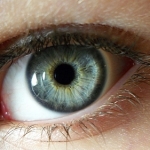 Ciclosporina topica e rosacea oculare