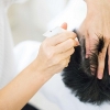 Melanoma: prevenzione dal parrucchiere?
