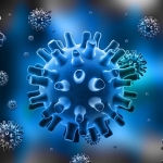 La diffusione mondiale del virus HSV