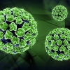 Promettenti risultati nei primi trial di un nuovo farmaco per la terapia dell'HPV