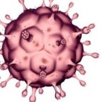 Carcinoma cutaneo a cellule squamose e Papillomavirus Umano: c'è un'associazione