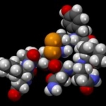 L'ossitocina modula la proliferazione e le risposte allo stress delle cellule cutanee umane: implicazioni per la dermatite atopica