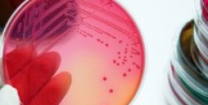 Aspetti clinici e di laboratorio della diagnosi e della gestione delle infezioni cutanee e sottocutanee causate da micobatteri a rapida crescita
