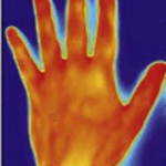 Influenza della gravità sul comportamento termico della pelle: studio sperimentale con termografia dinamica a infrarossi