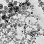 Esposizione subcronica a nanoparticelle di biossido di titanio per la pelle glabra di ratto
