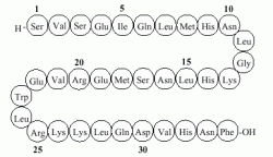 amino-acid-sequence