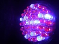 blue-red-LED-phototherapy
