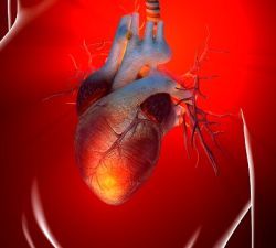 cardiovascular-disease-in-psoriasis