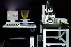 multi photon microscope